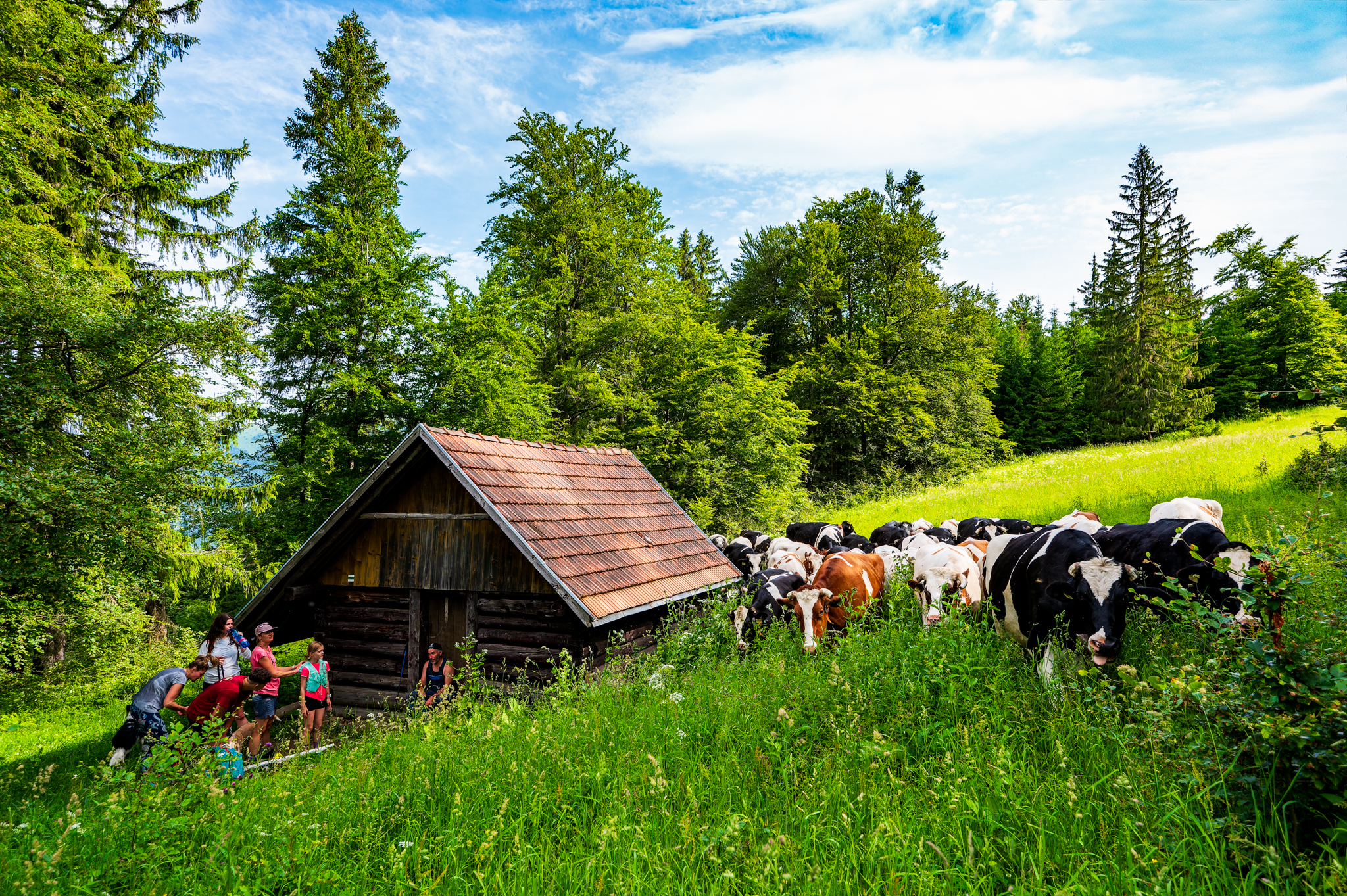 NZ6 0906 DxO DeepPRIME XD2s